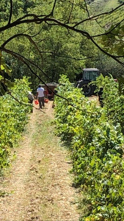 Podere Ghiole Montespertoli Zewnętrze zdjęcie