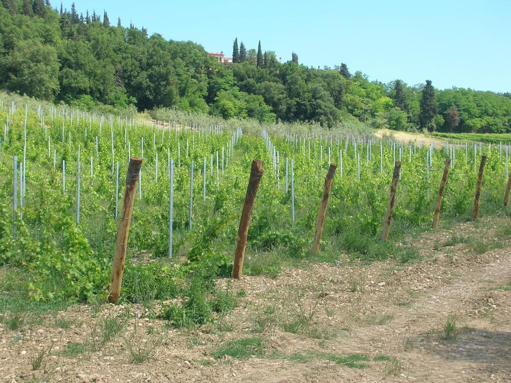 Podere Ghiole Montespertoli Zewnętrze zdjęcie