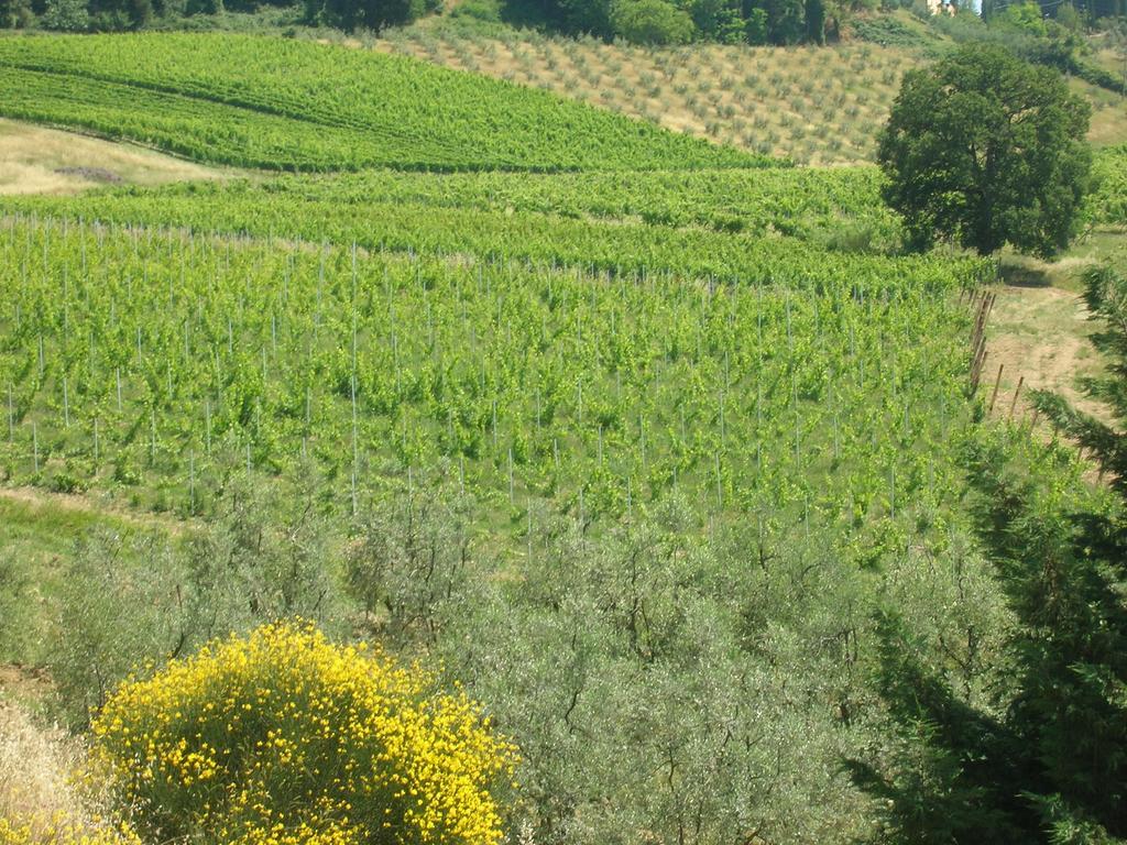 Podere Ghiole Montespertoli Zewnętrze zdjęcie