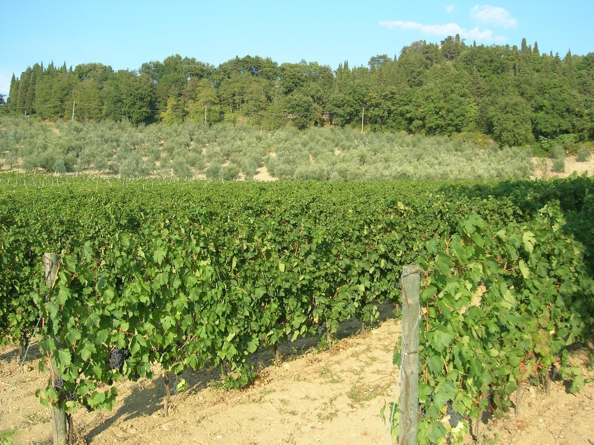 Podere Ghiole Montespertoli Zewnętrze zdjęcie